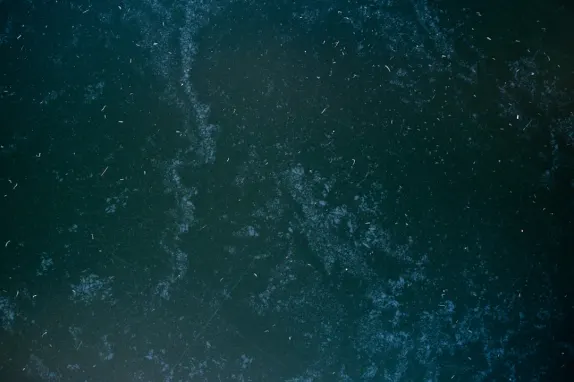 Tournaverse Kasino Podpora